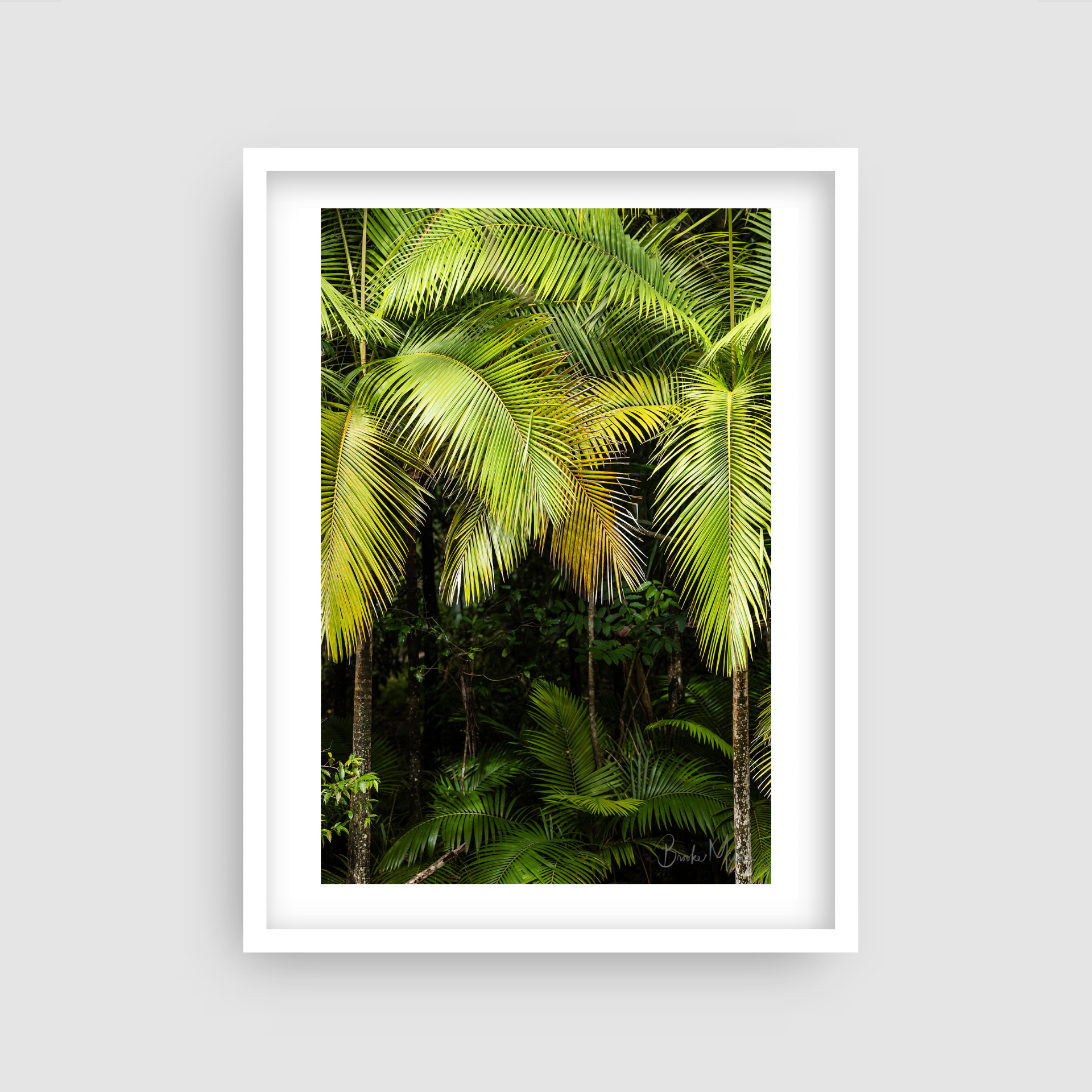 Palms Entrance - Jungle Print