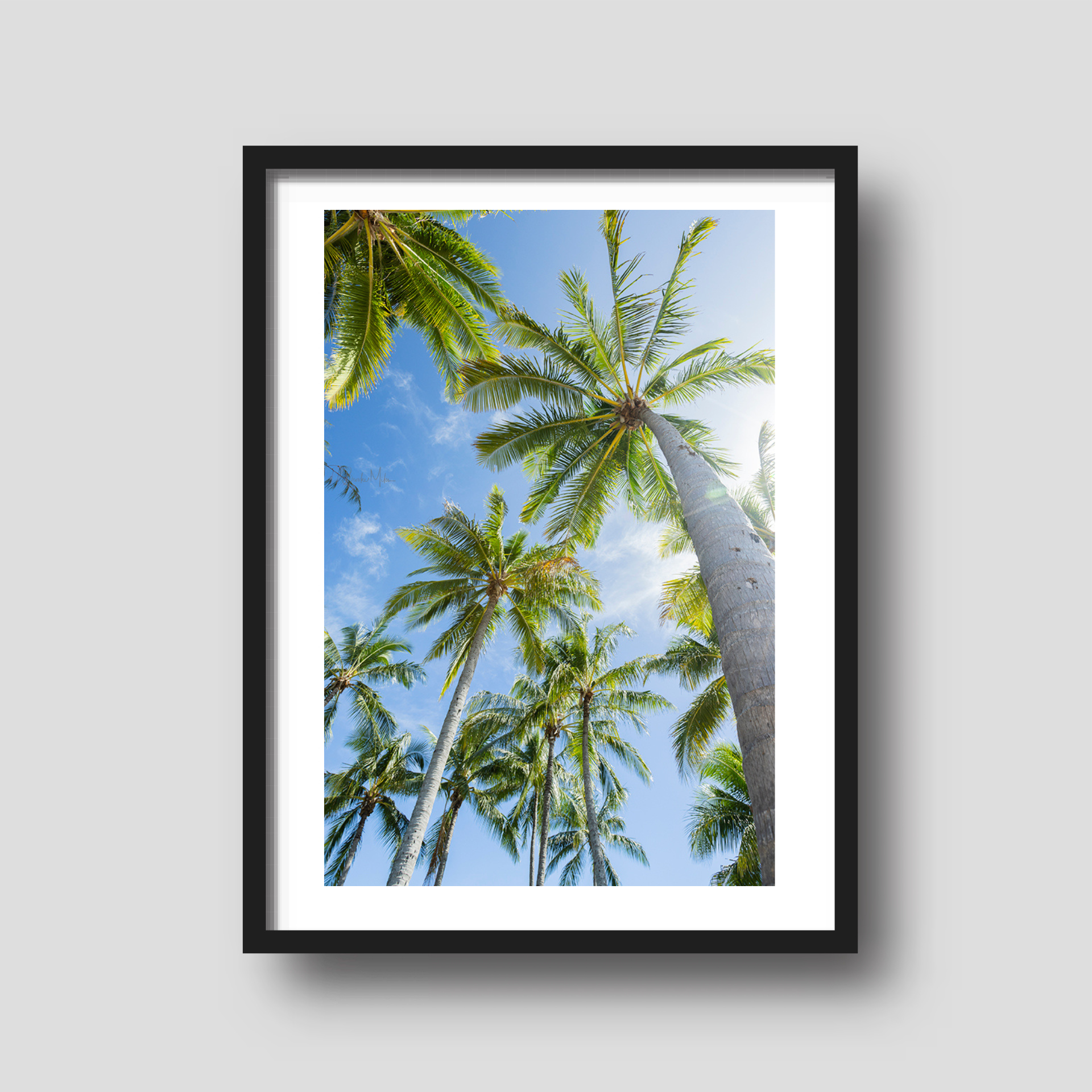 Paradise Found - Palm Tree Print