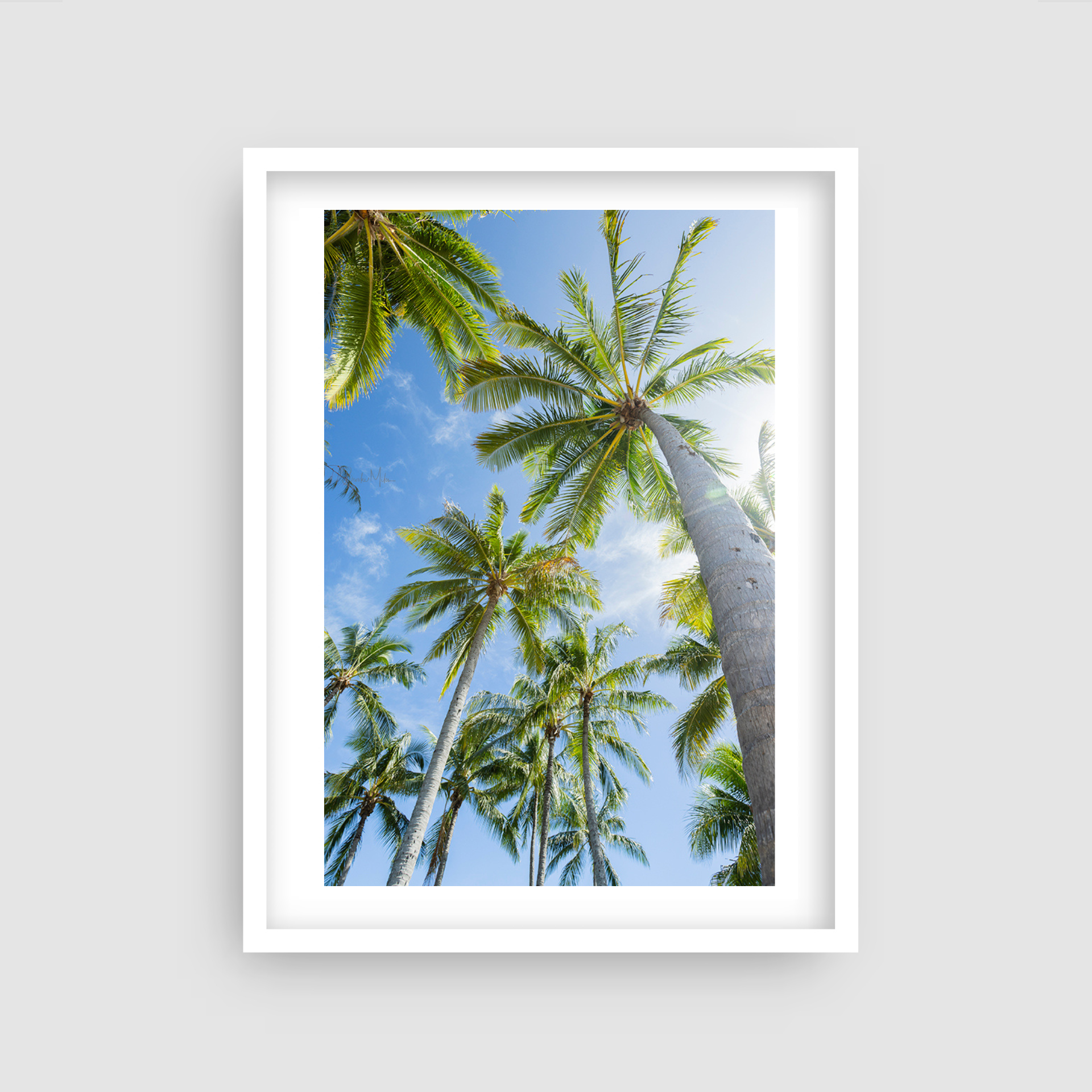 Paradise Found - Palm Tree Print