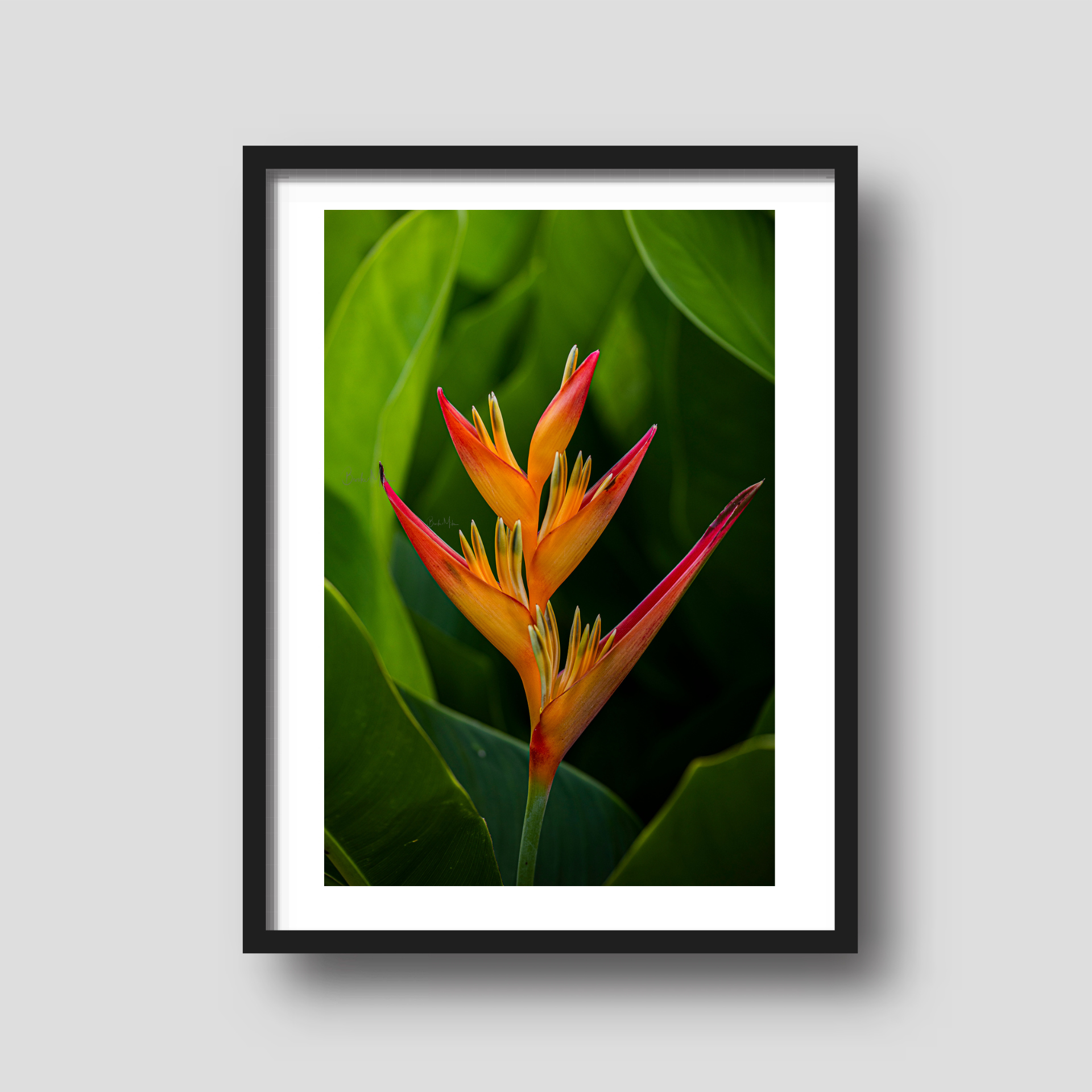 Paradise Portrait - Flower Print