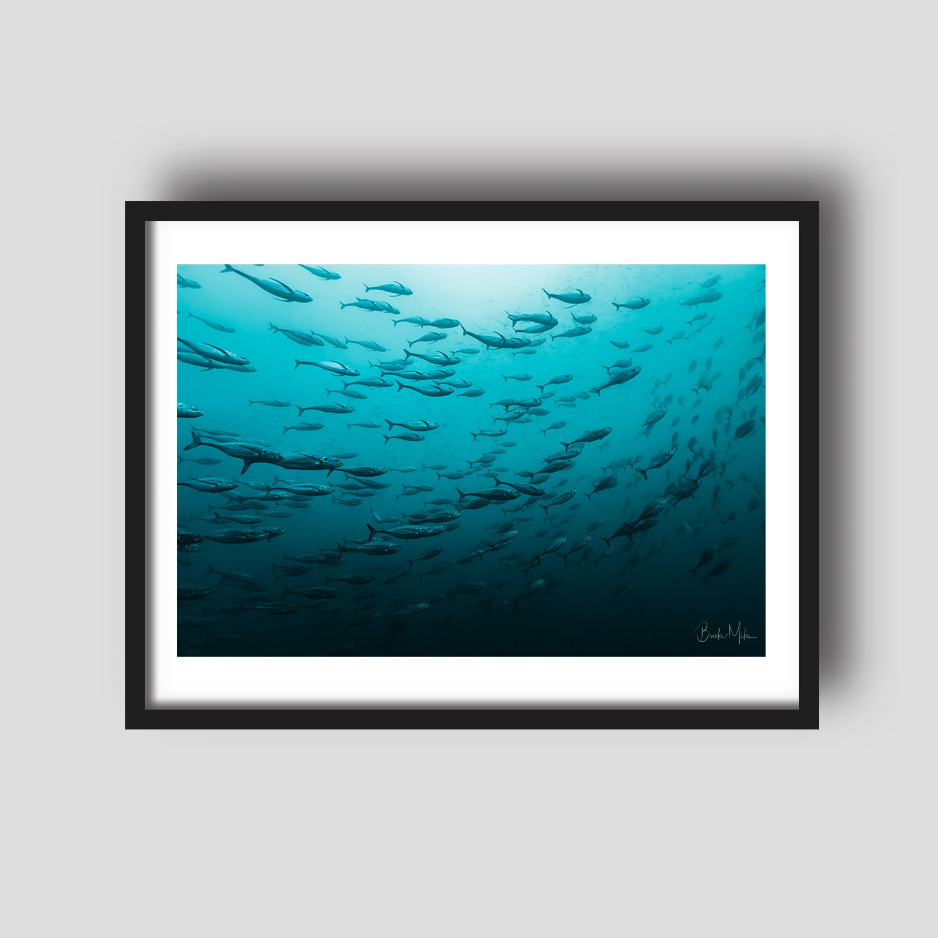 Peak Hour - Underwater Fish Print