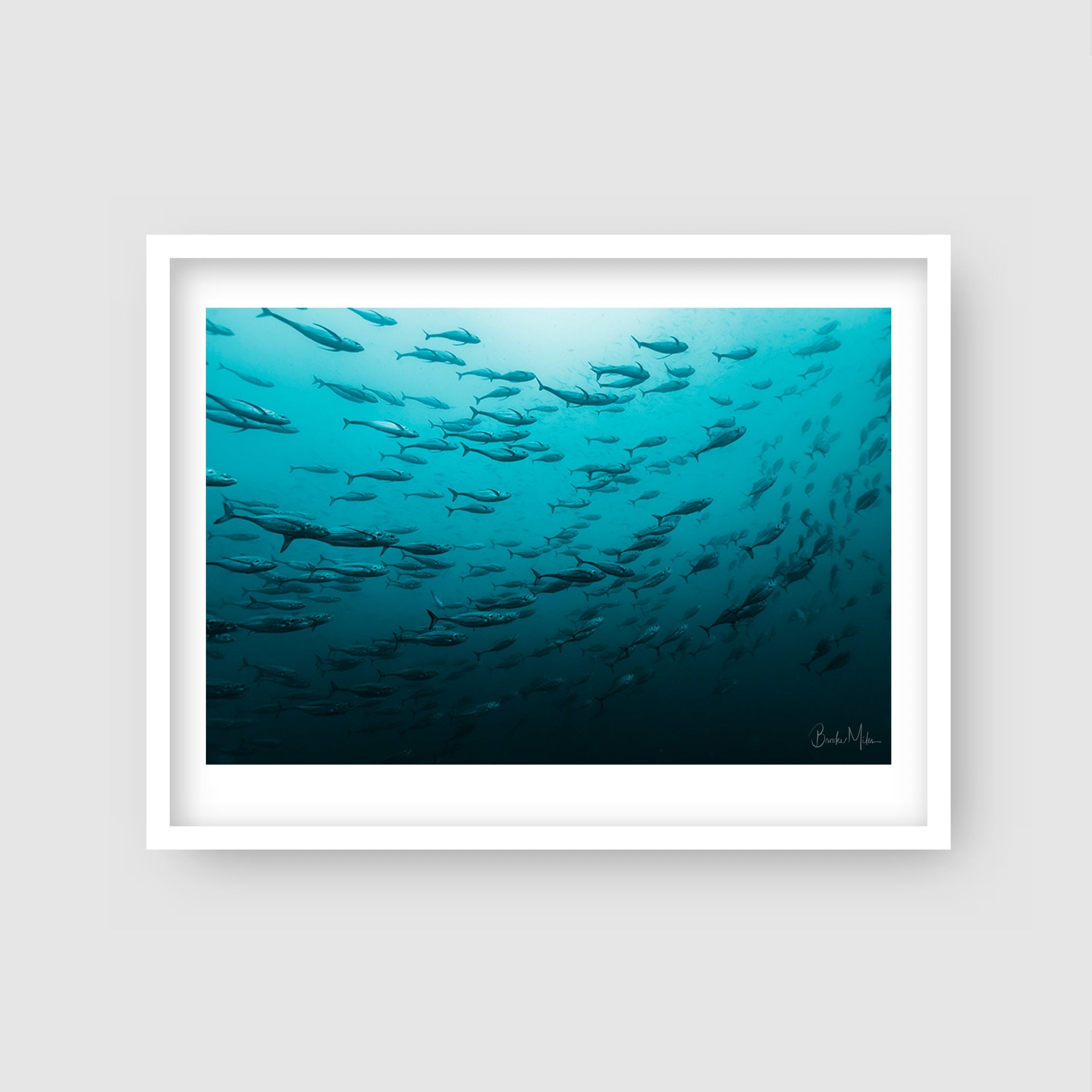 Peak Hour - Underwater Fish Print