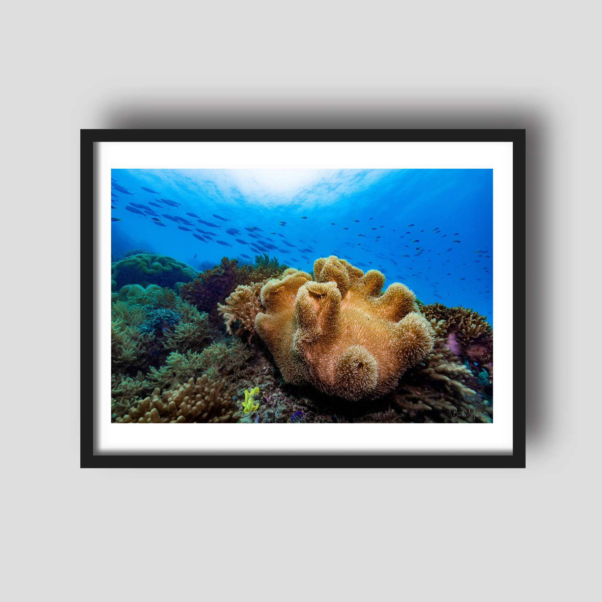 Pillow Talk - Underwater Reef Print