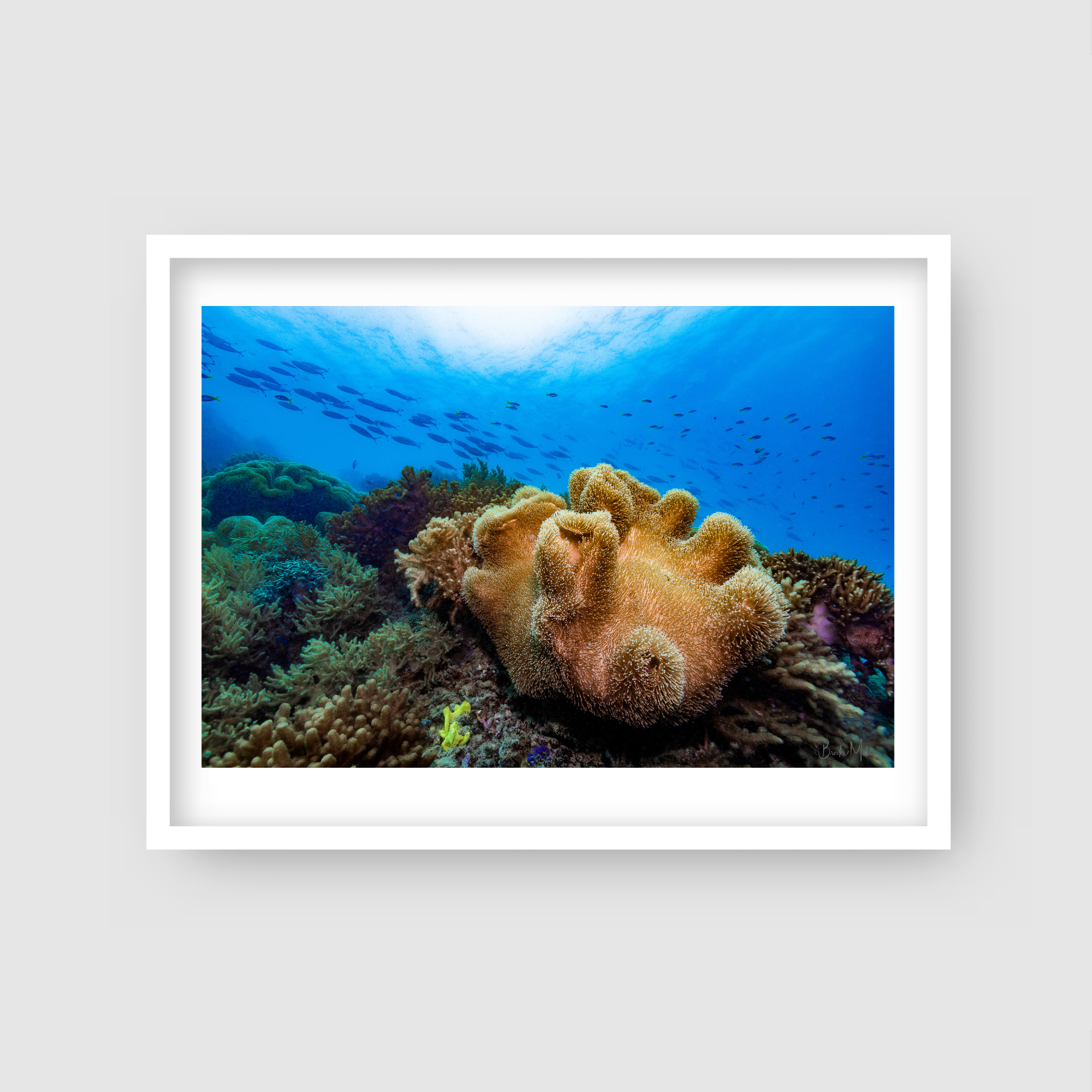 Pillow Talk - Underwater Reef Print
