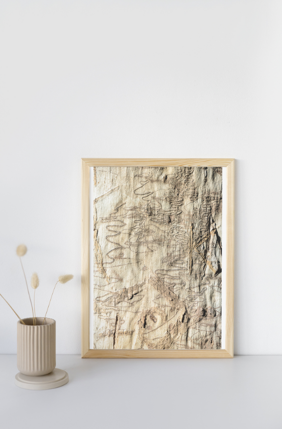 Scribbly Gum K - Nature Print