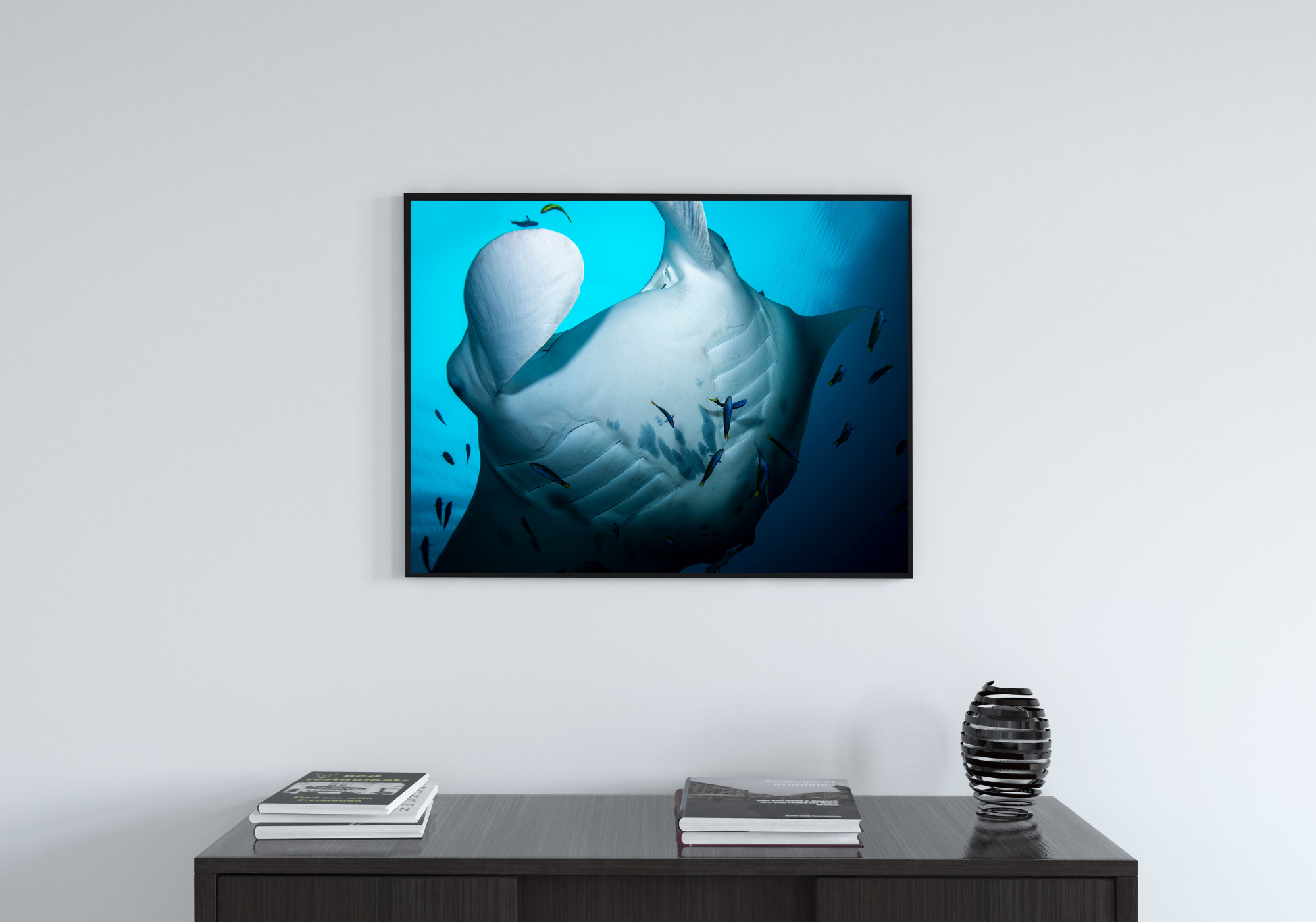 Raja - Underwater Manta Ray Print