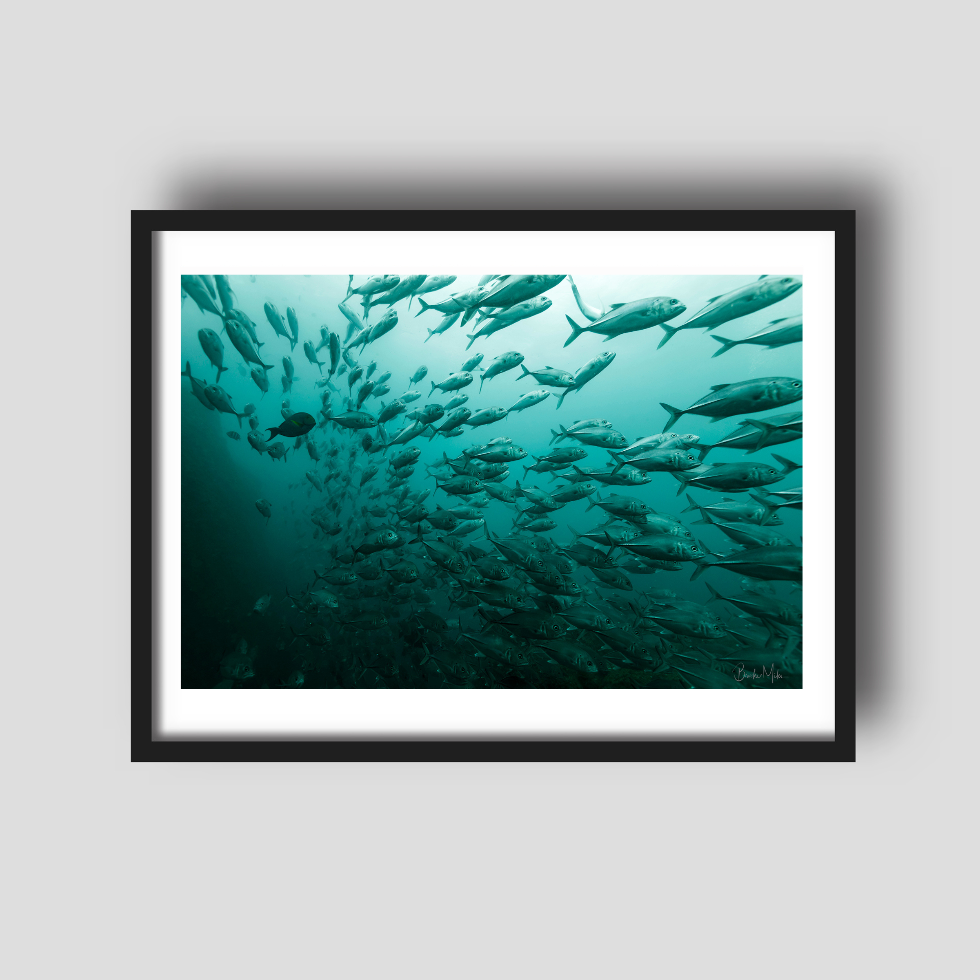 School's Out - Underwater Fish Print