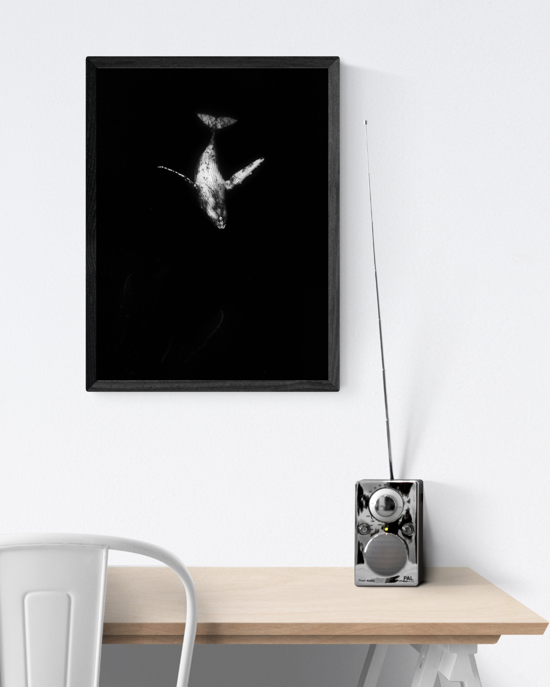 Scratch - Humpback Whale Print