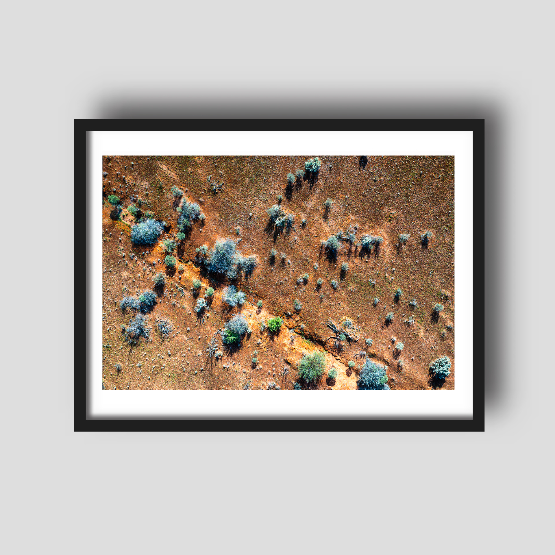 Shrubs - Nature Coastal Print