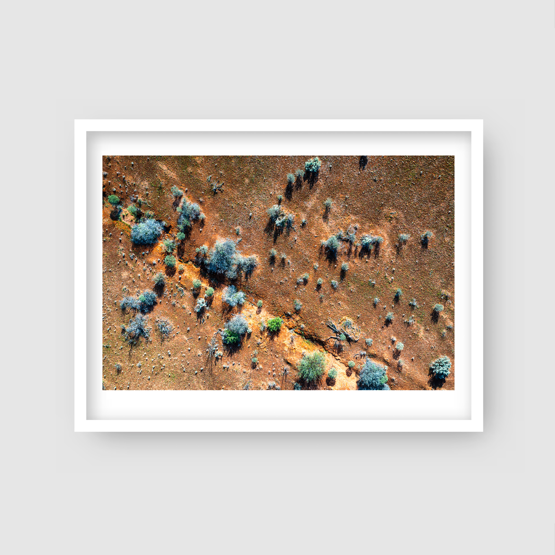 Shrubs - Nature Coastal Print