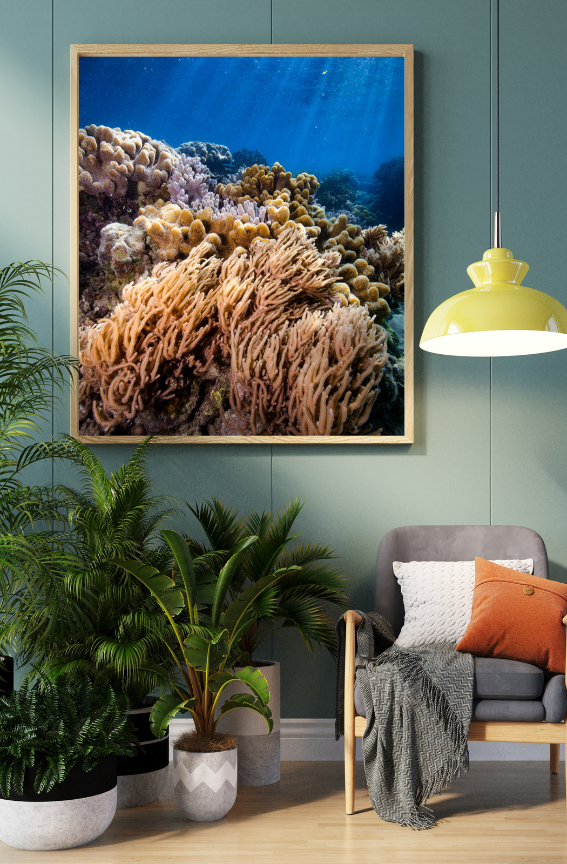 Soft Sunshine - Underwater Reef Print