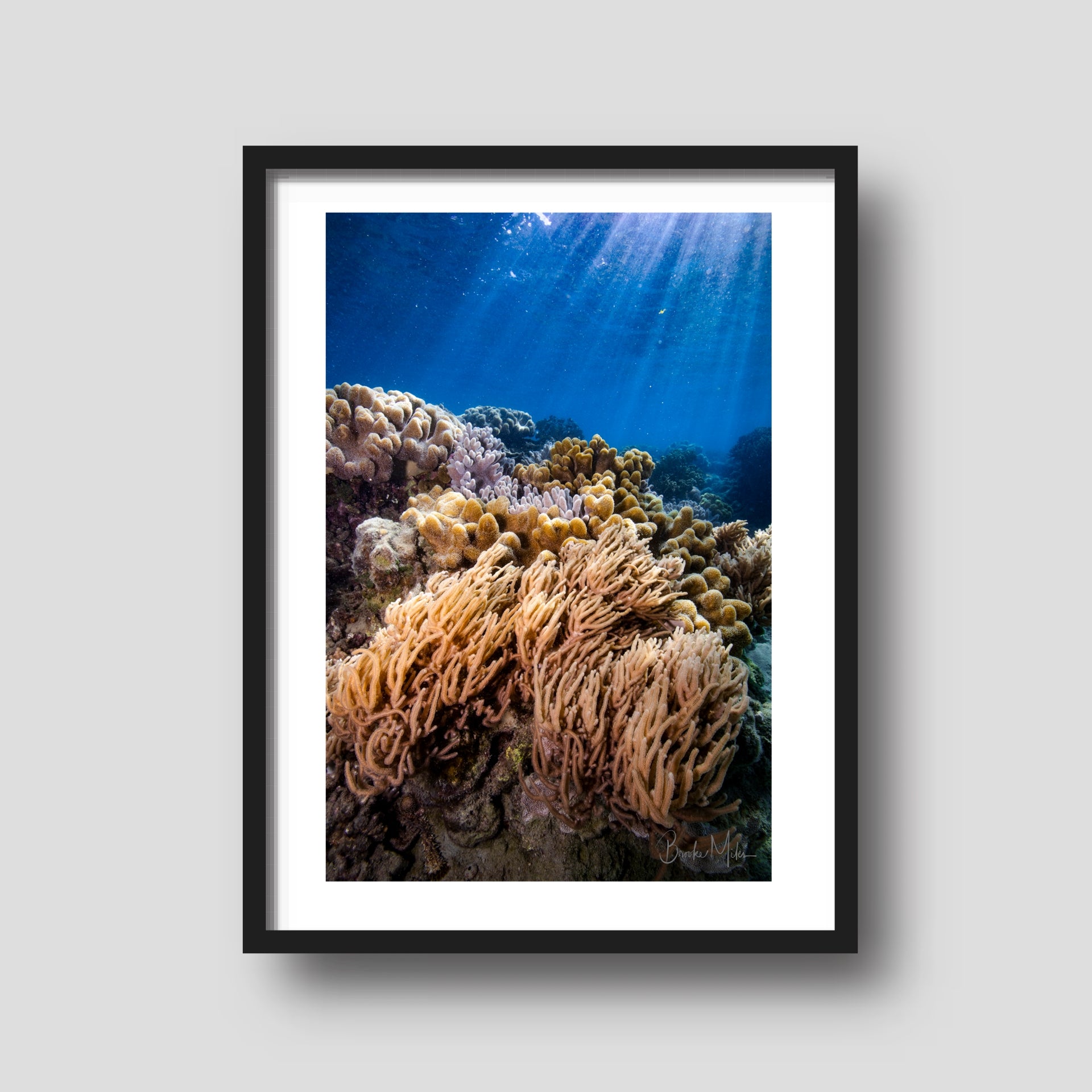 Soft Sunshine - Underwater Reef Print