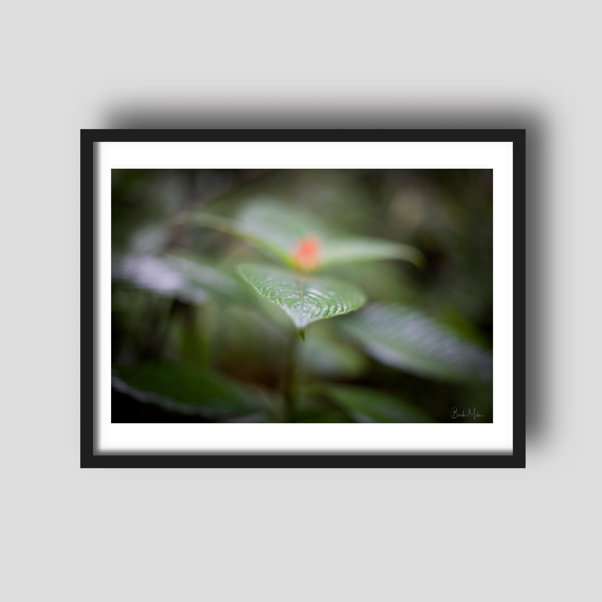 Symmetry - Rainforest Print