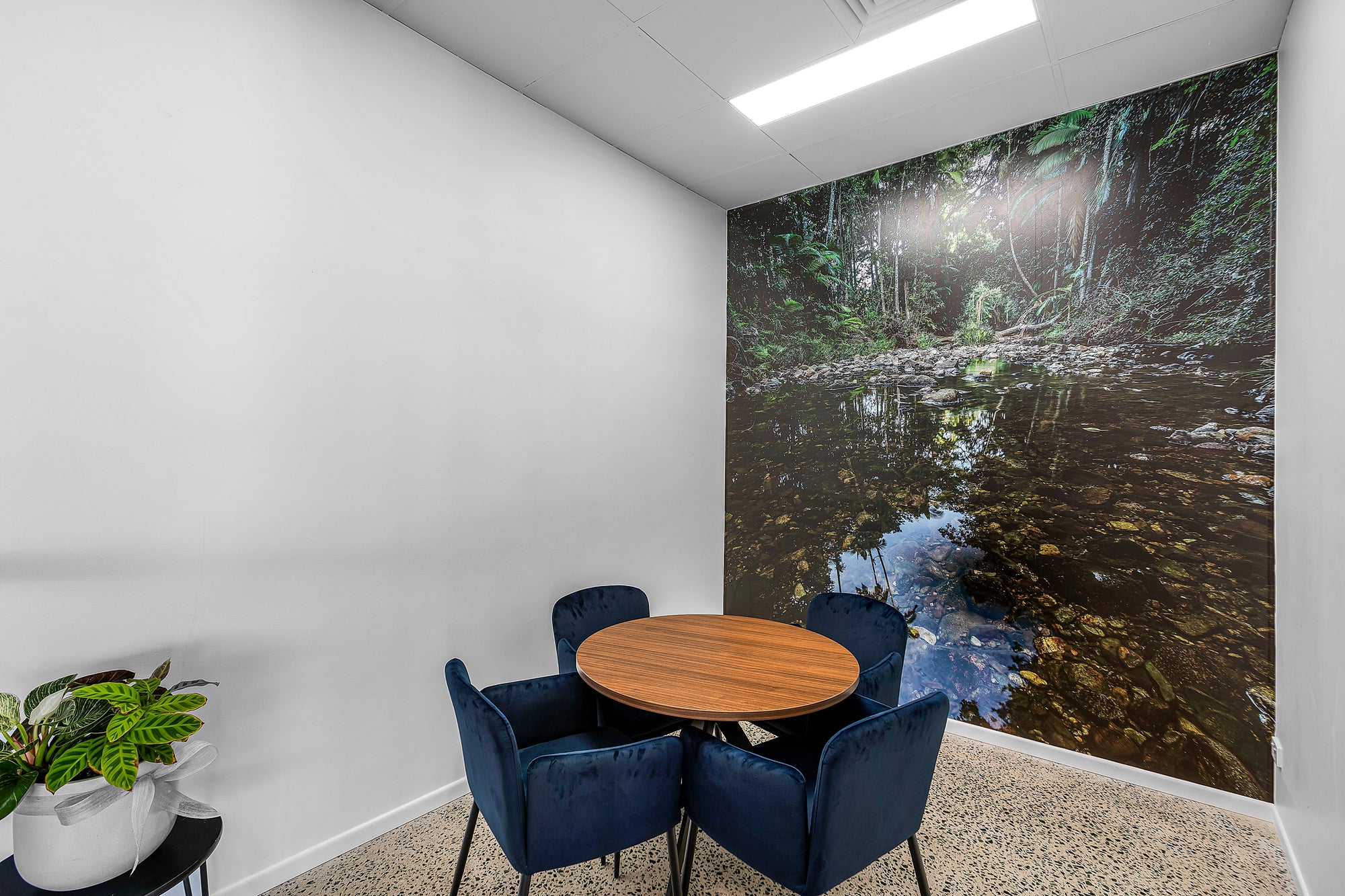 TaylorsWallpapers_AB_005.jpg__PID:04423ead-4ec7-4122-97dc-3ef2c9fed88c