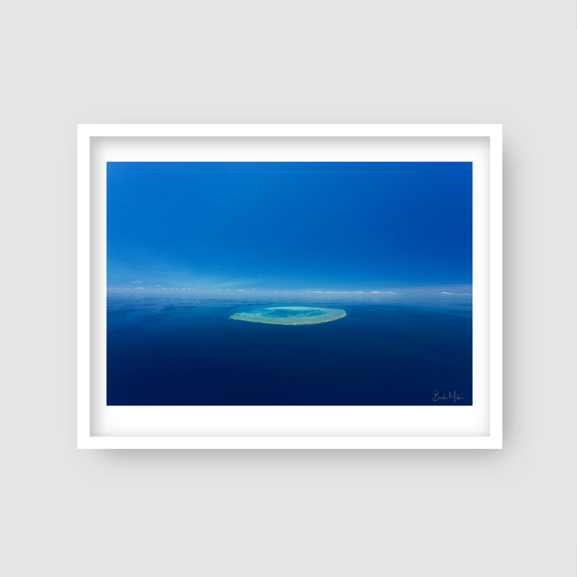 The Bait - Island Print