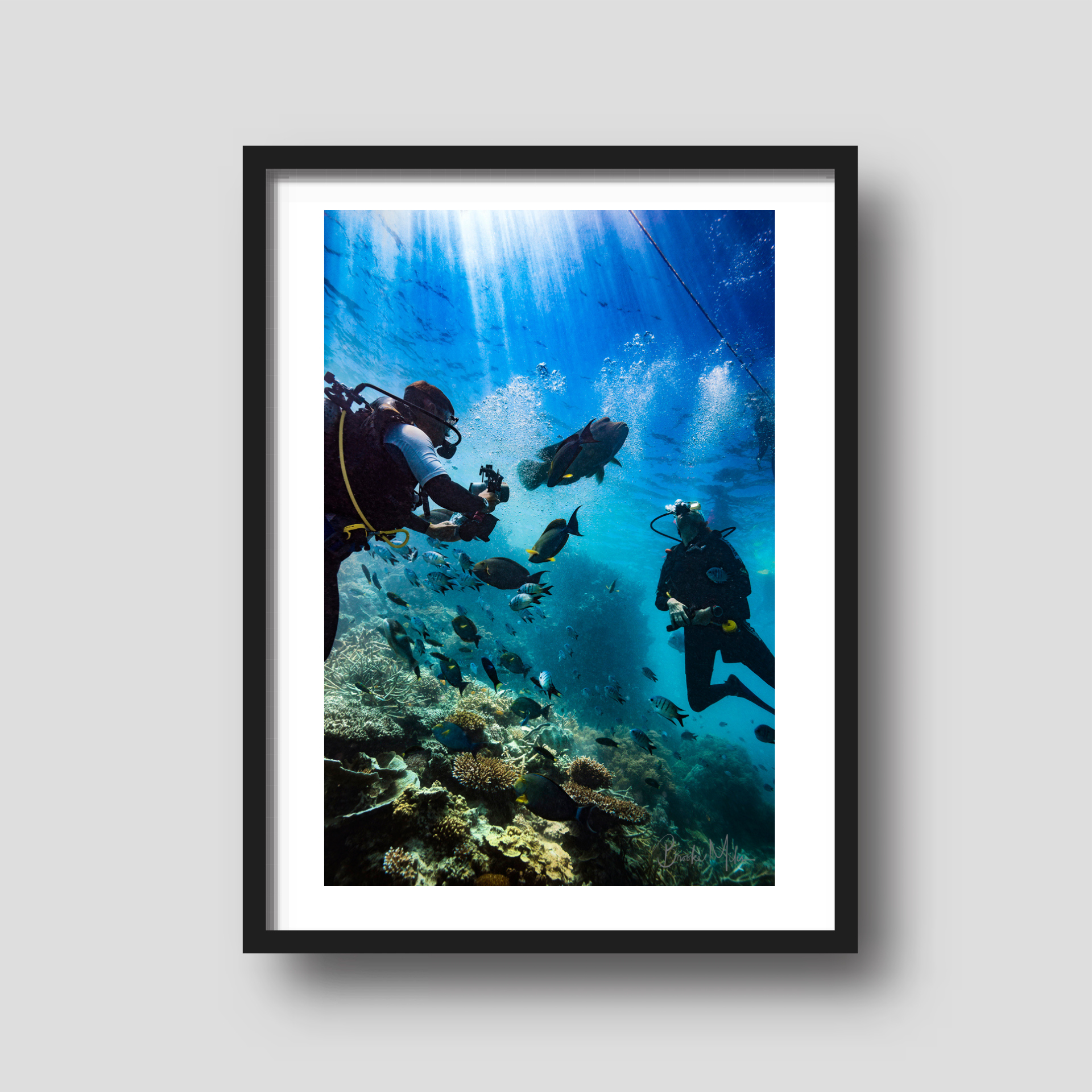 The Catwalk - Underwater Reef Print