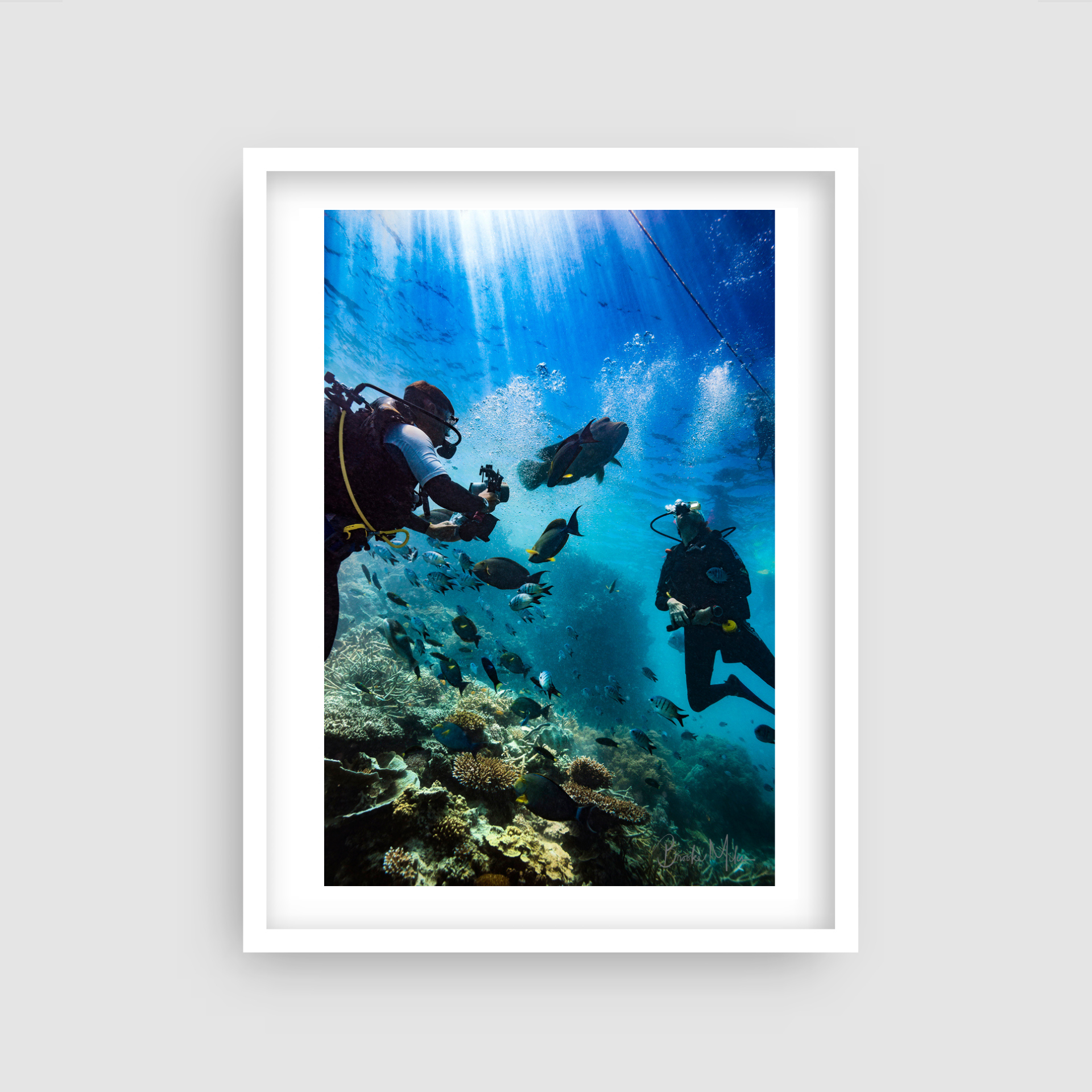 The Catwalk - Underwater Reef Print