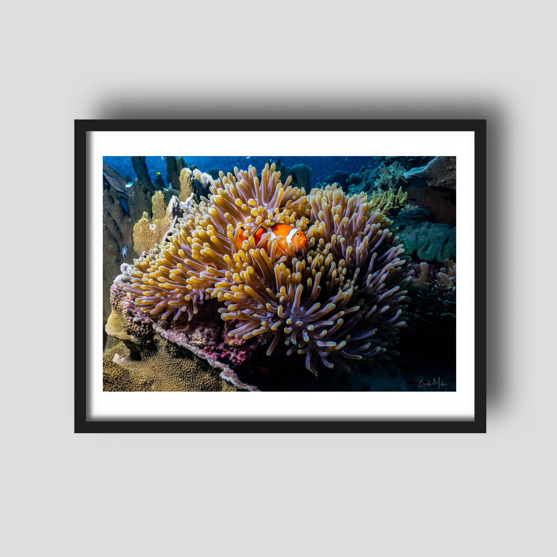 The Keeper - Underwater Reef Print