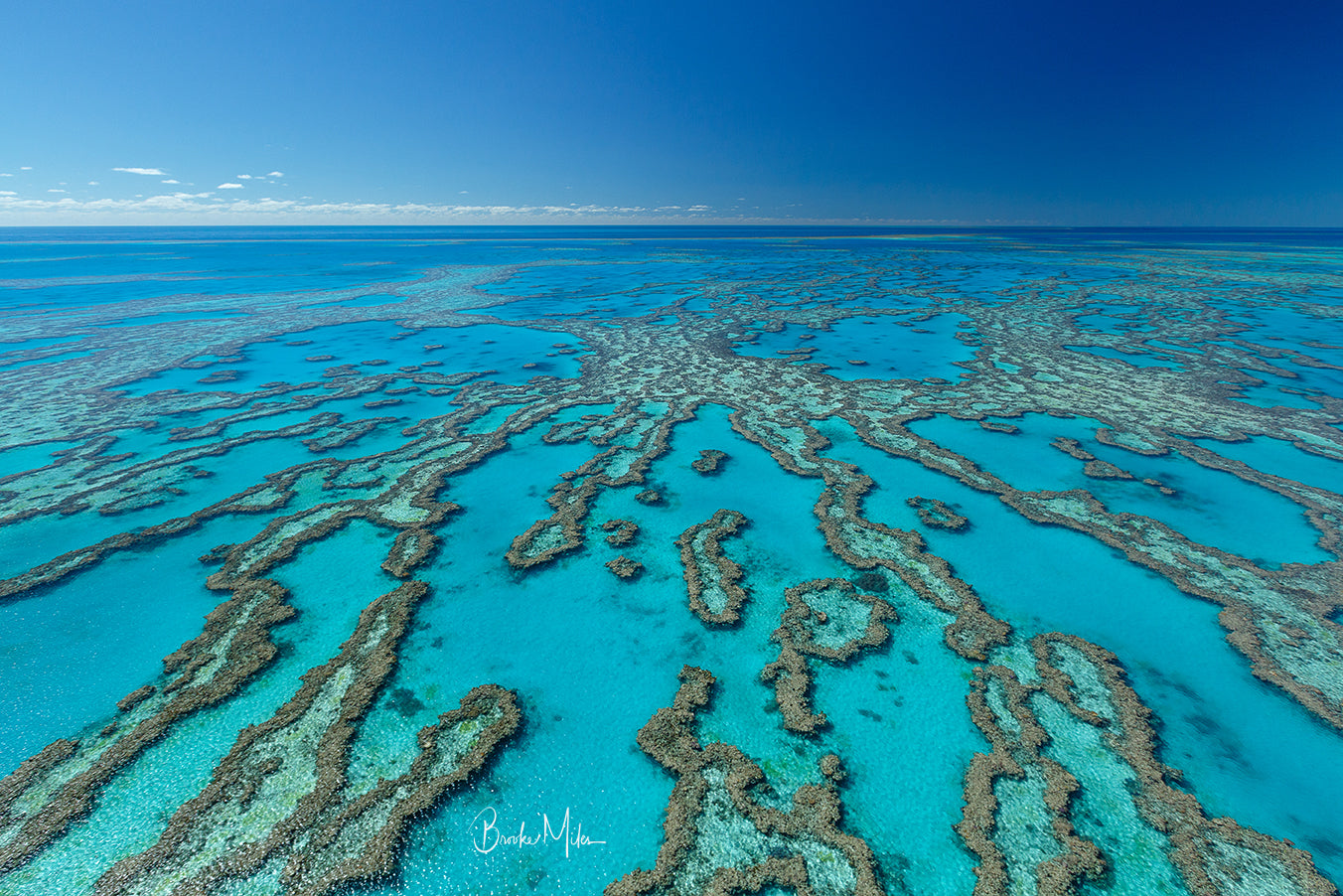 The Maze - Great Barrier Reef Print