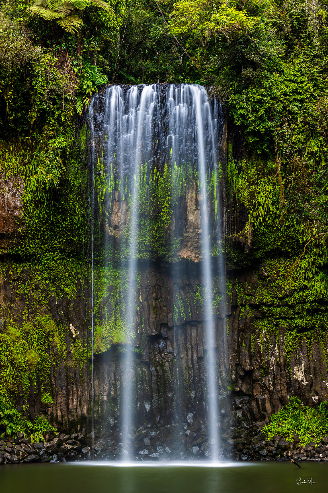 Through the Veil - Waterfall Rainforest Print