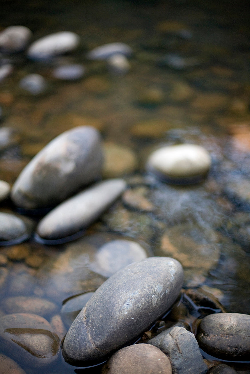 Tiny Boulders - Rainforest Print