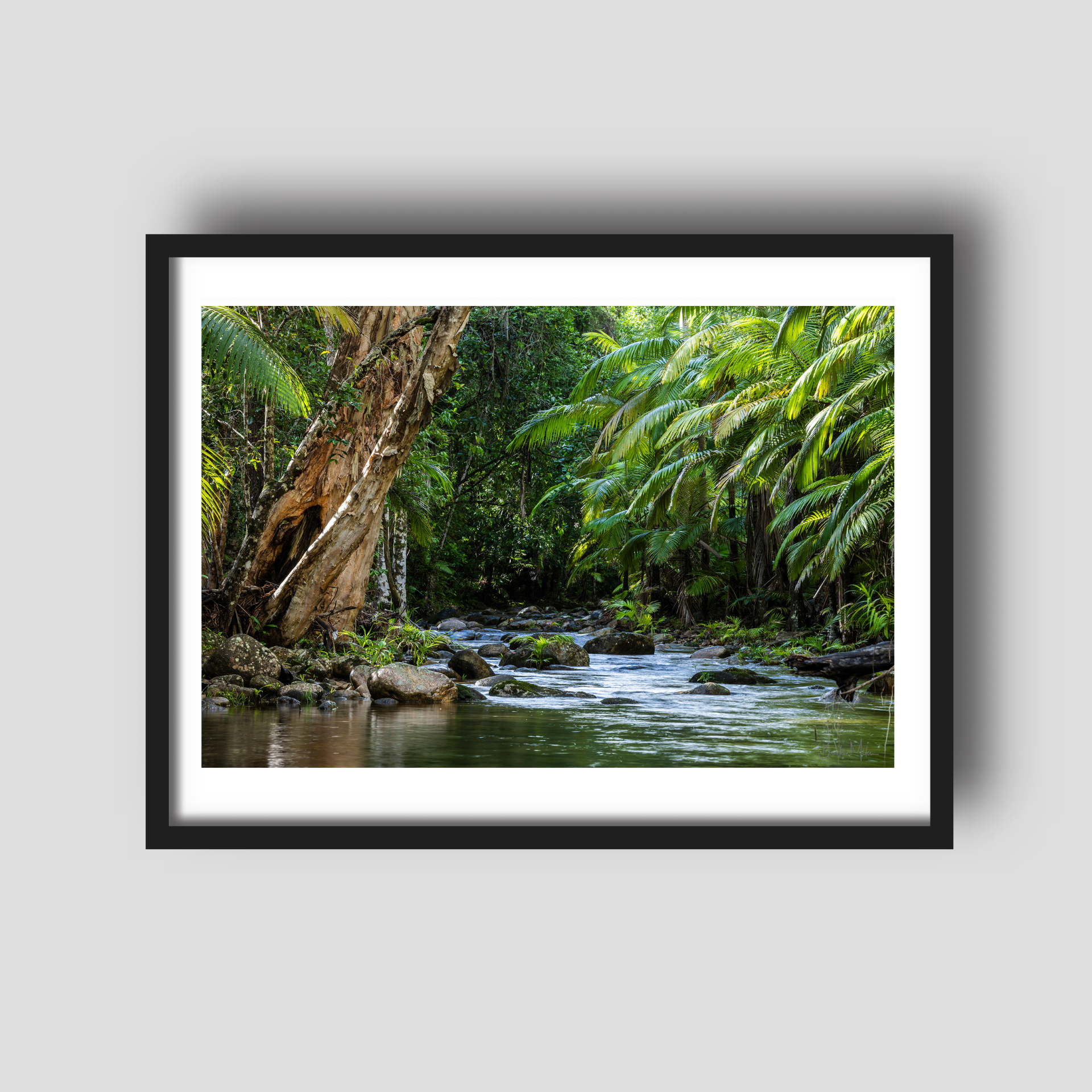 Tranquil - Rainforest Print