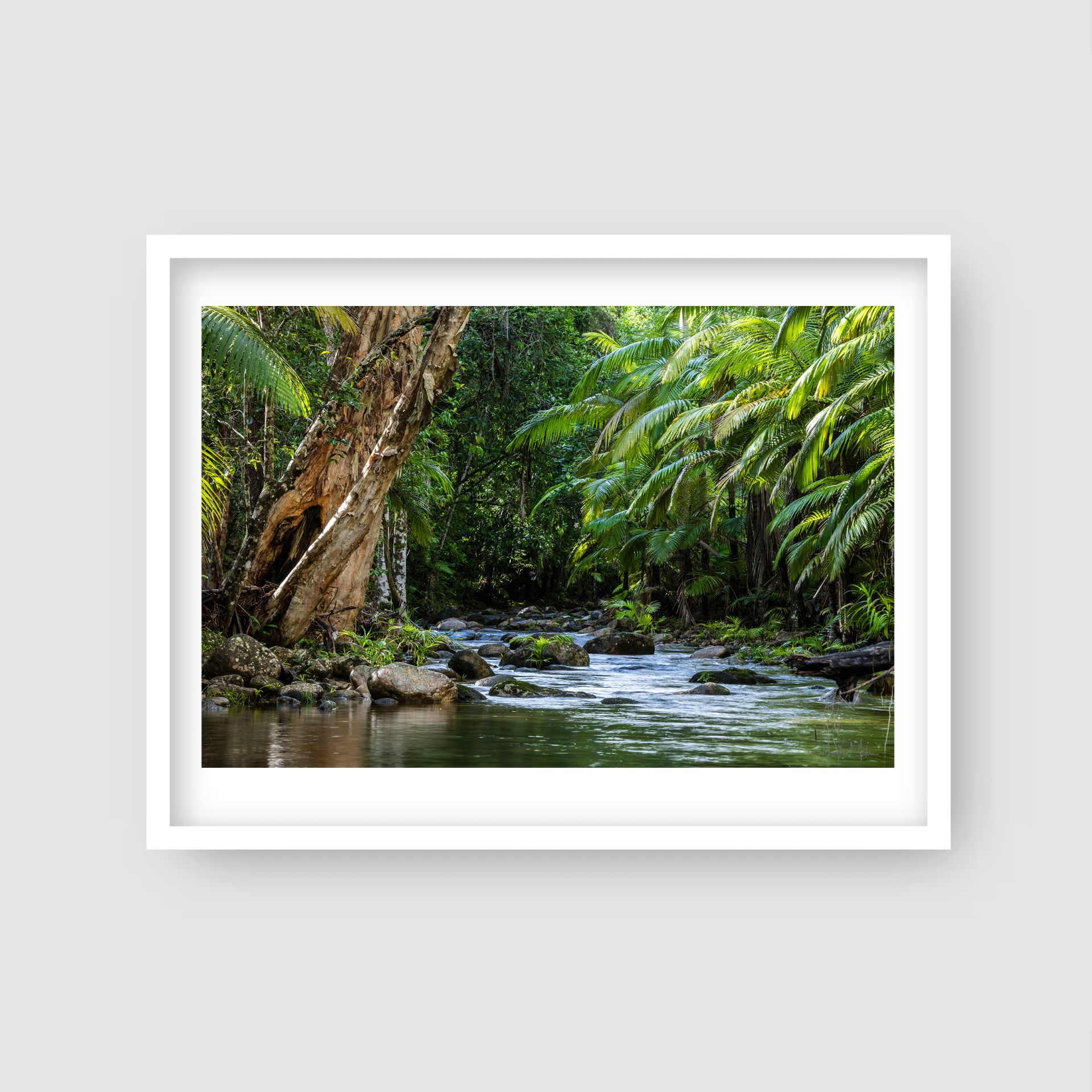 Tranquil - Rainforest Print