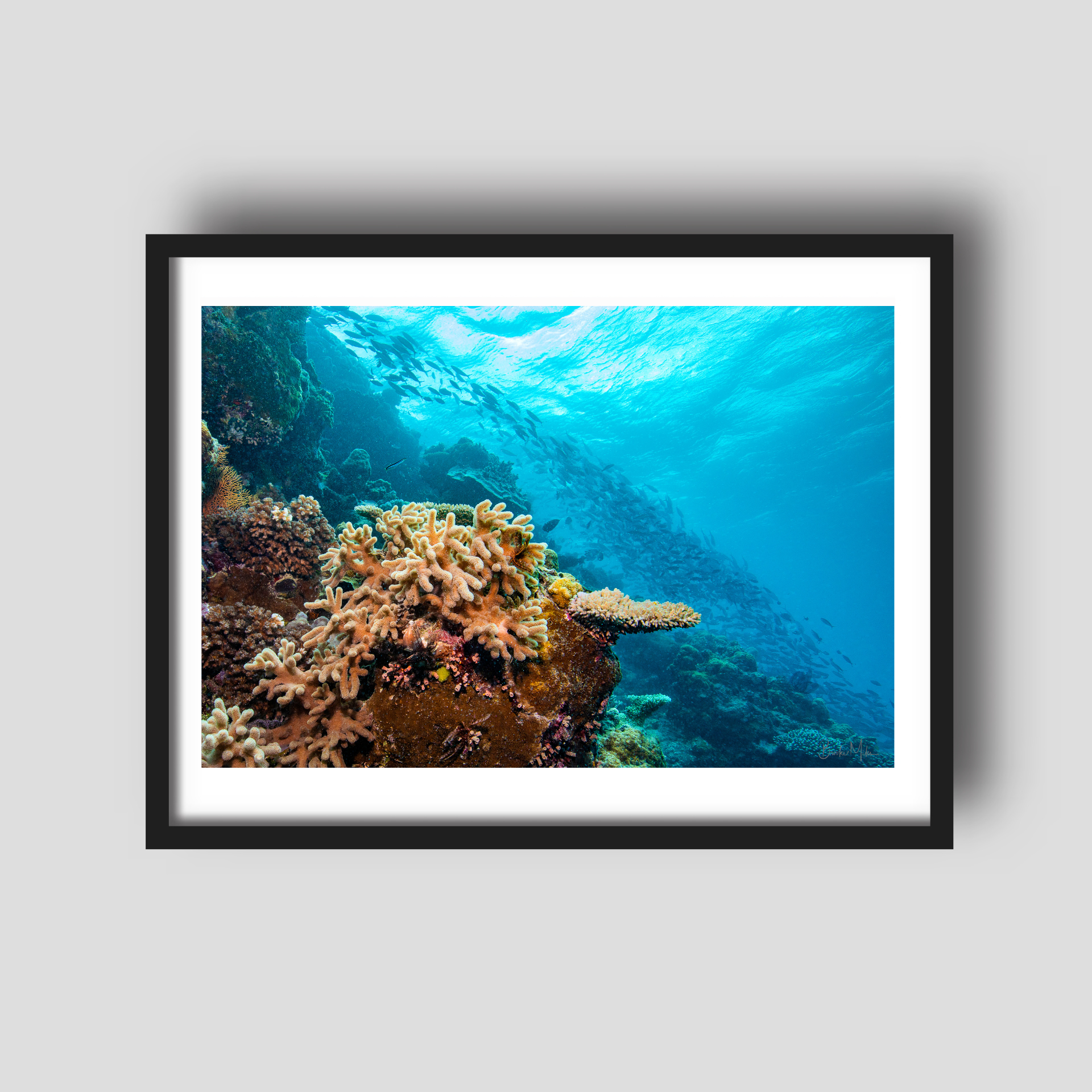 Treasure - Underwater Reef Print