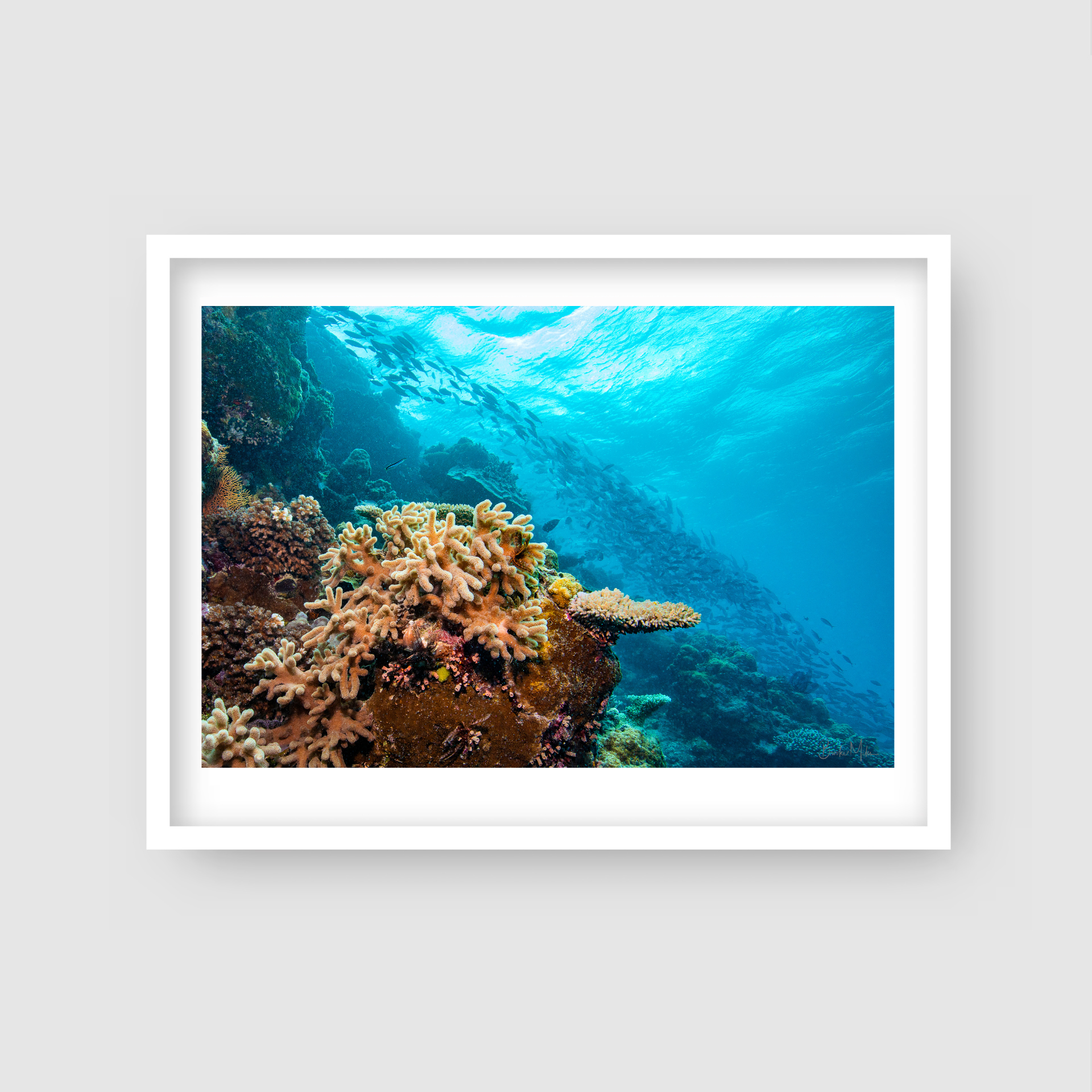 Treasure - Underwater Reef Print