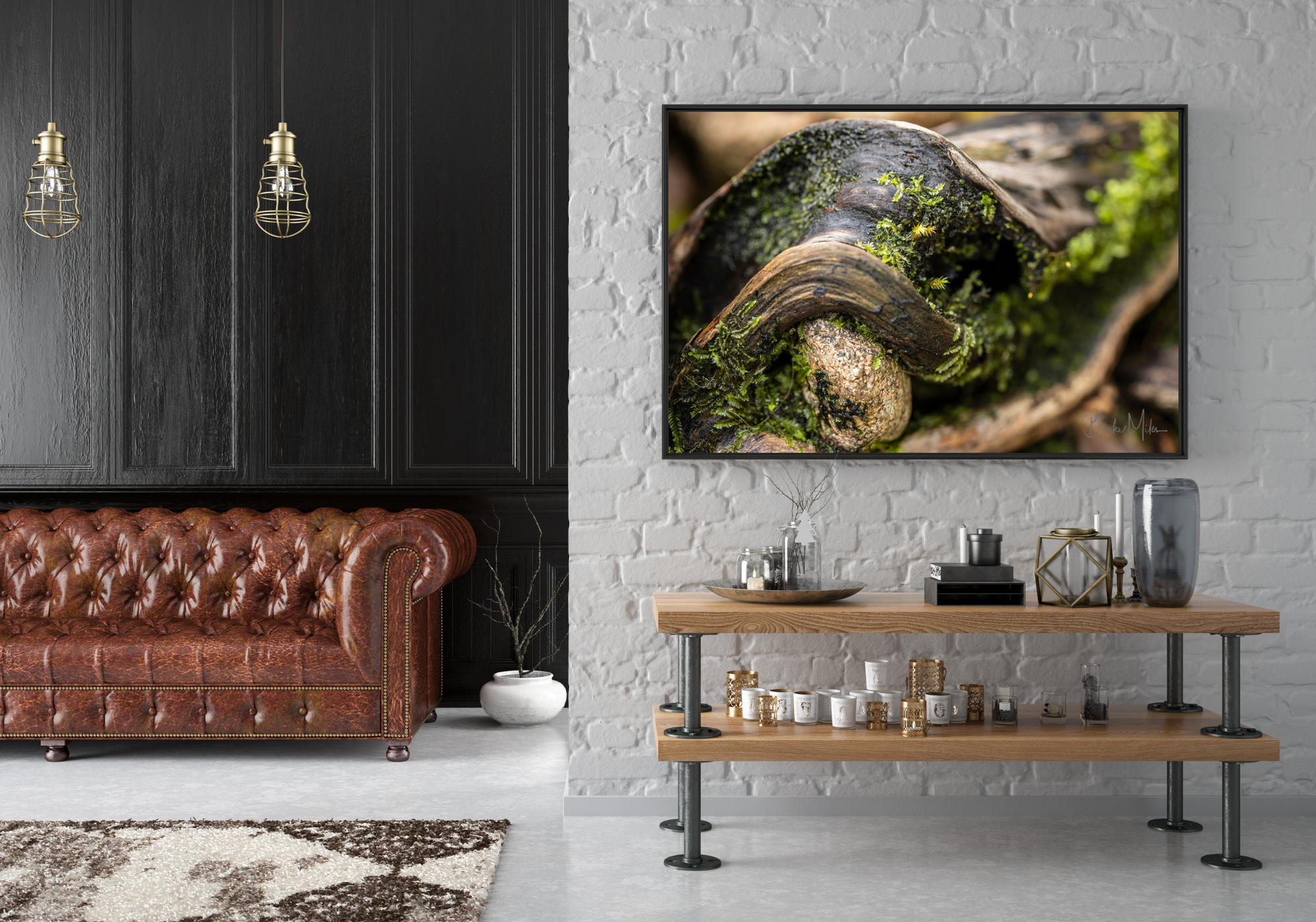 Trunk of Life - Rainforest Print