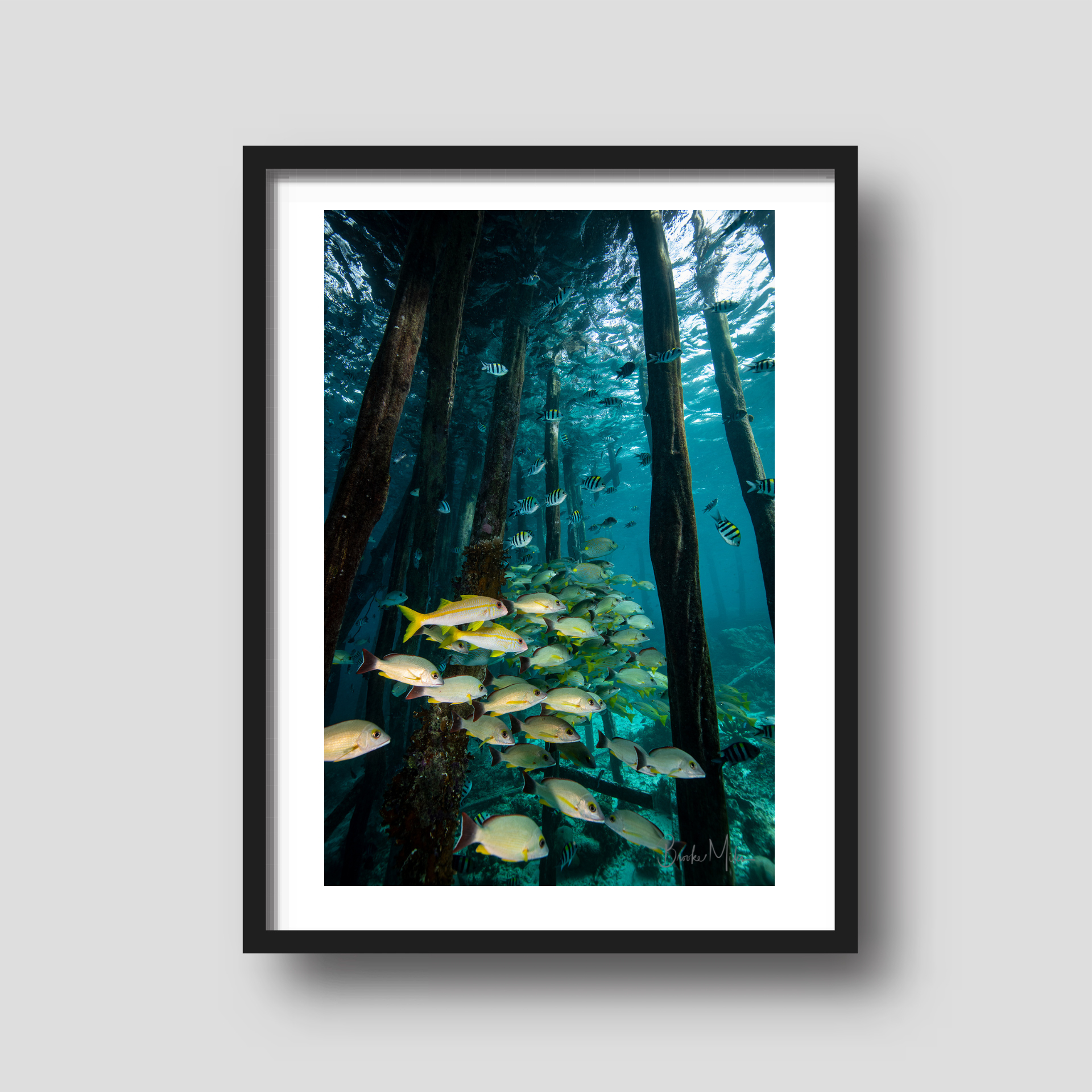 Under the Bridge - Underwater Reef Print