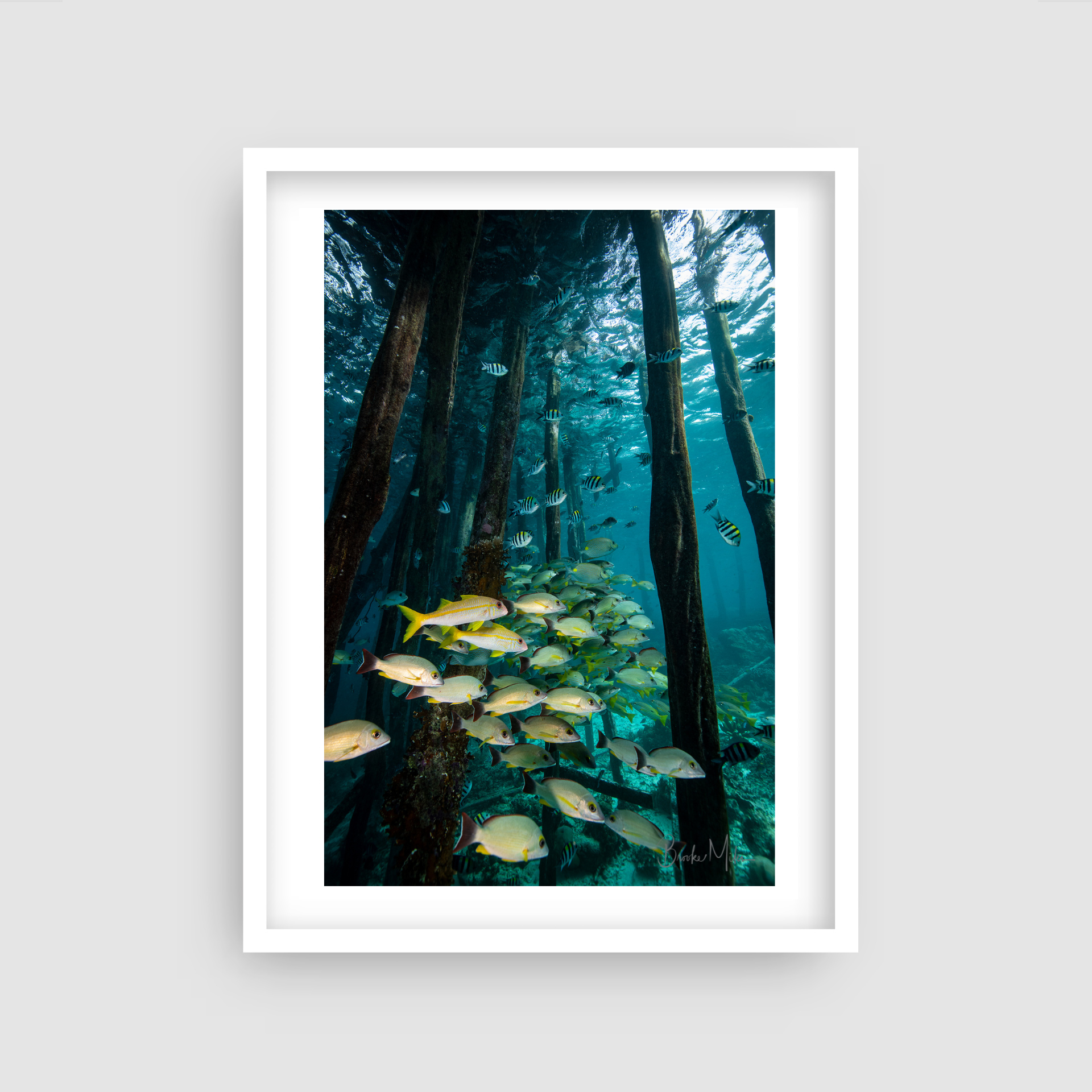 Under the Bridge - Underwater Reef Print