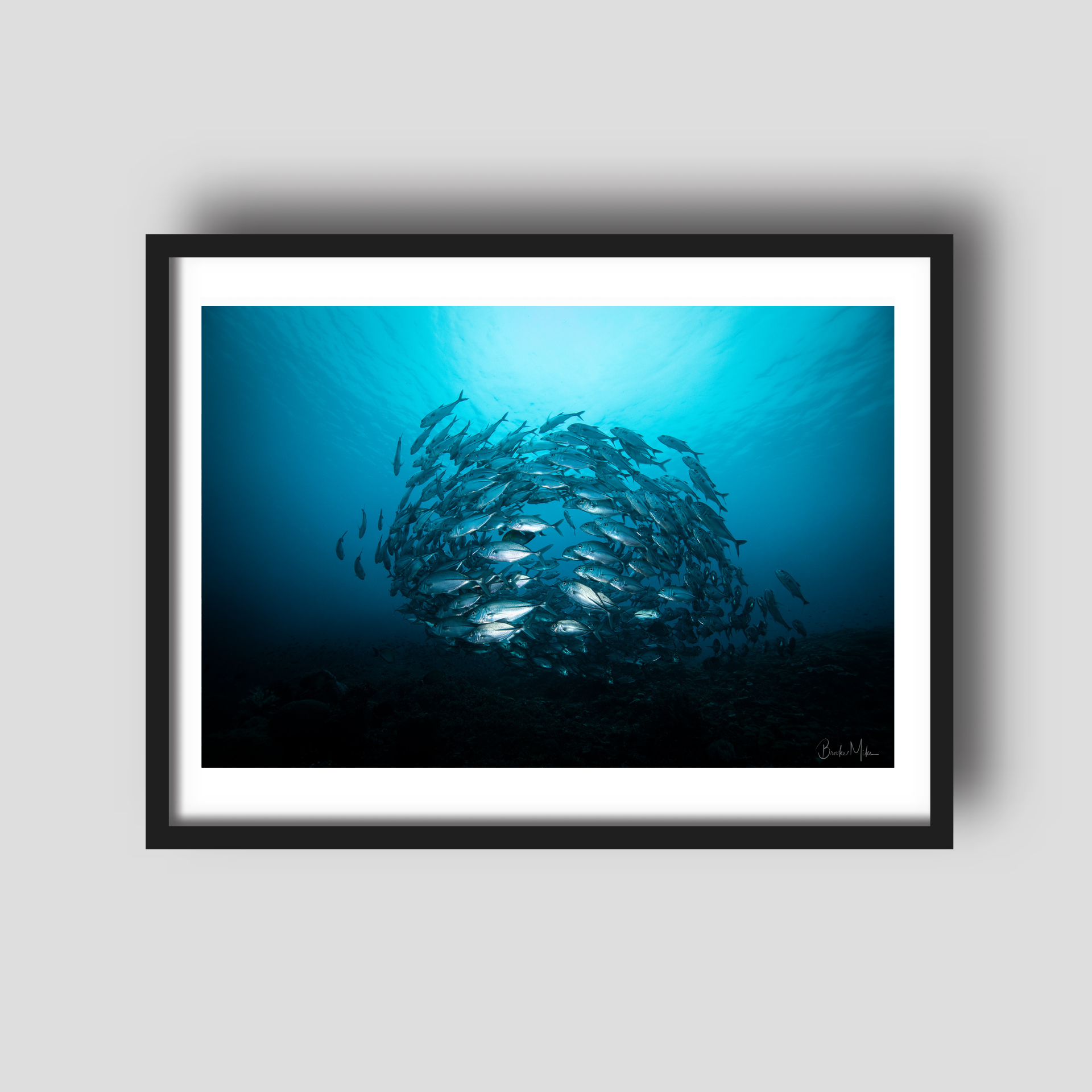 Unity - Underwater Fish Print