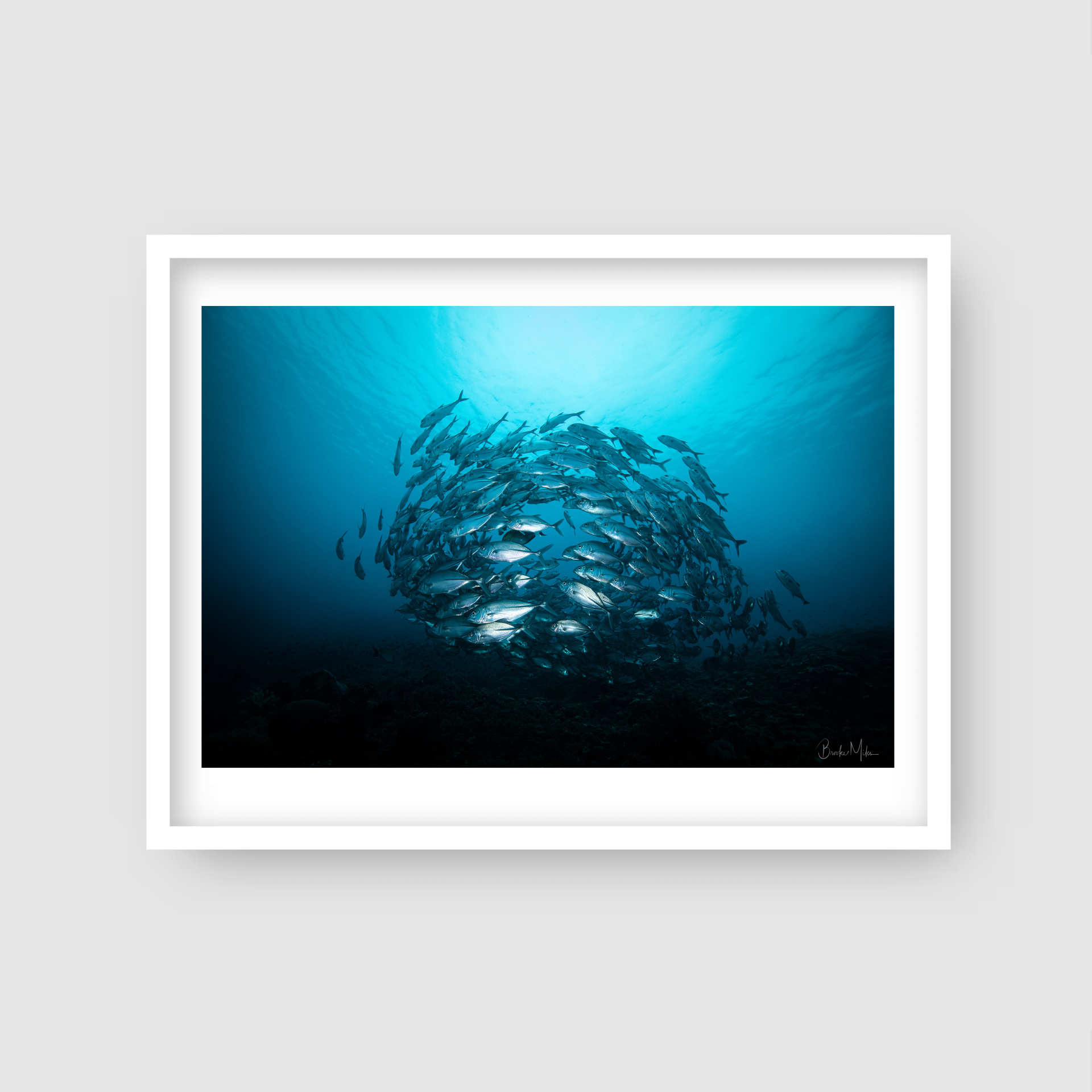Unity - Underwater Fish Print