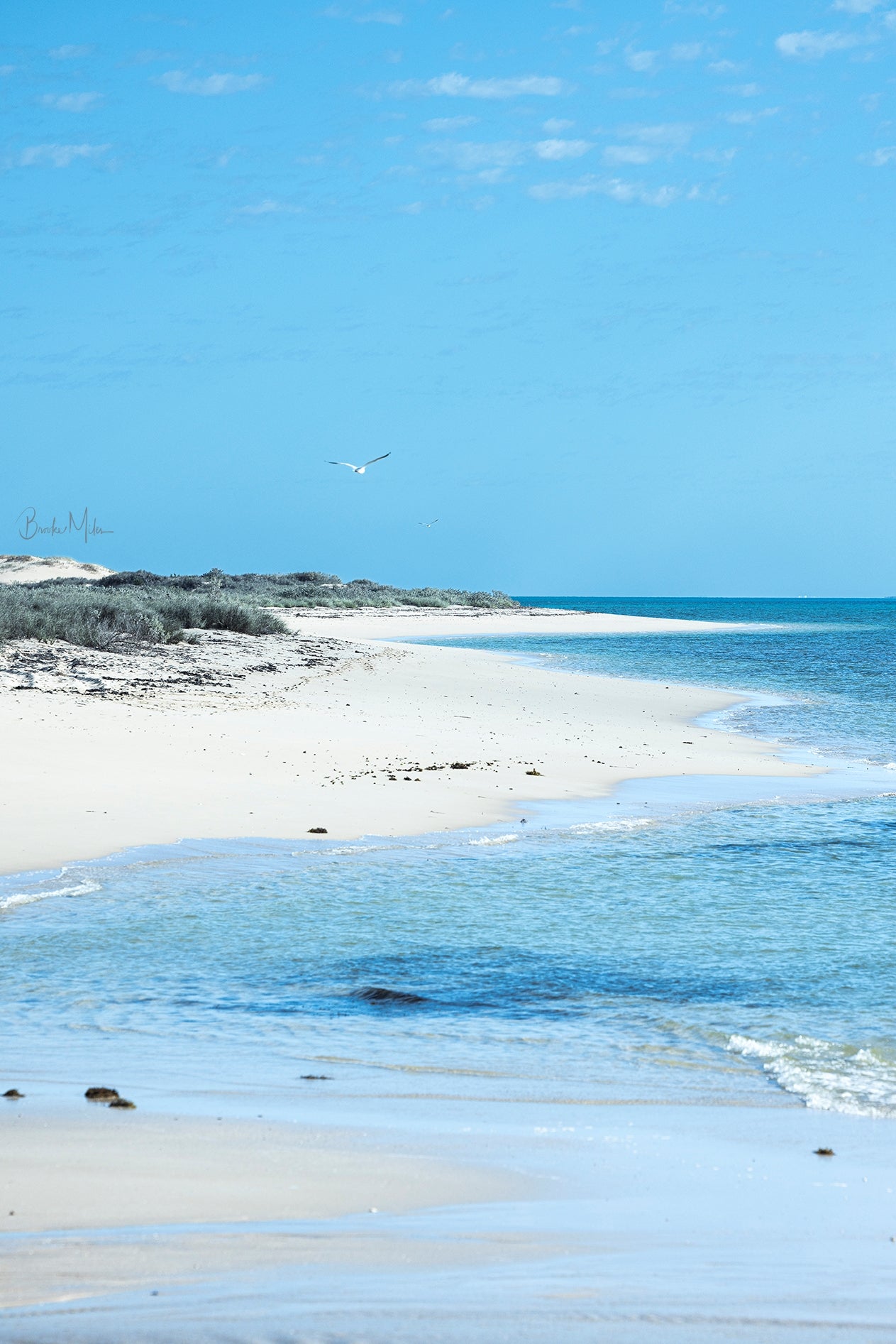 Ningaloo Pastels - Nature Coastal Print