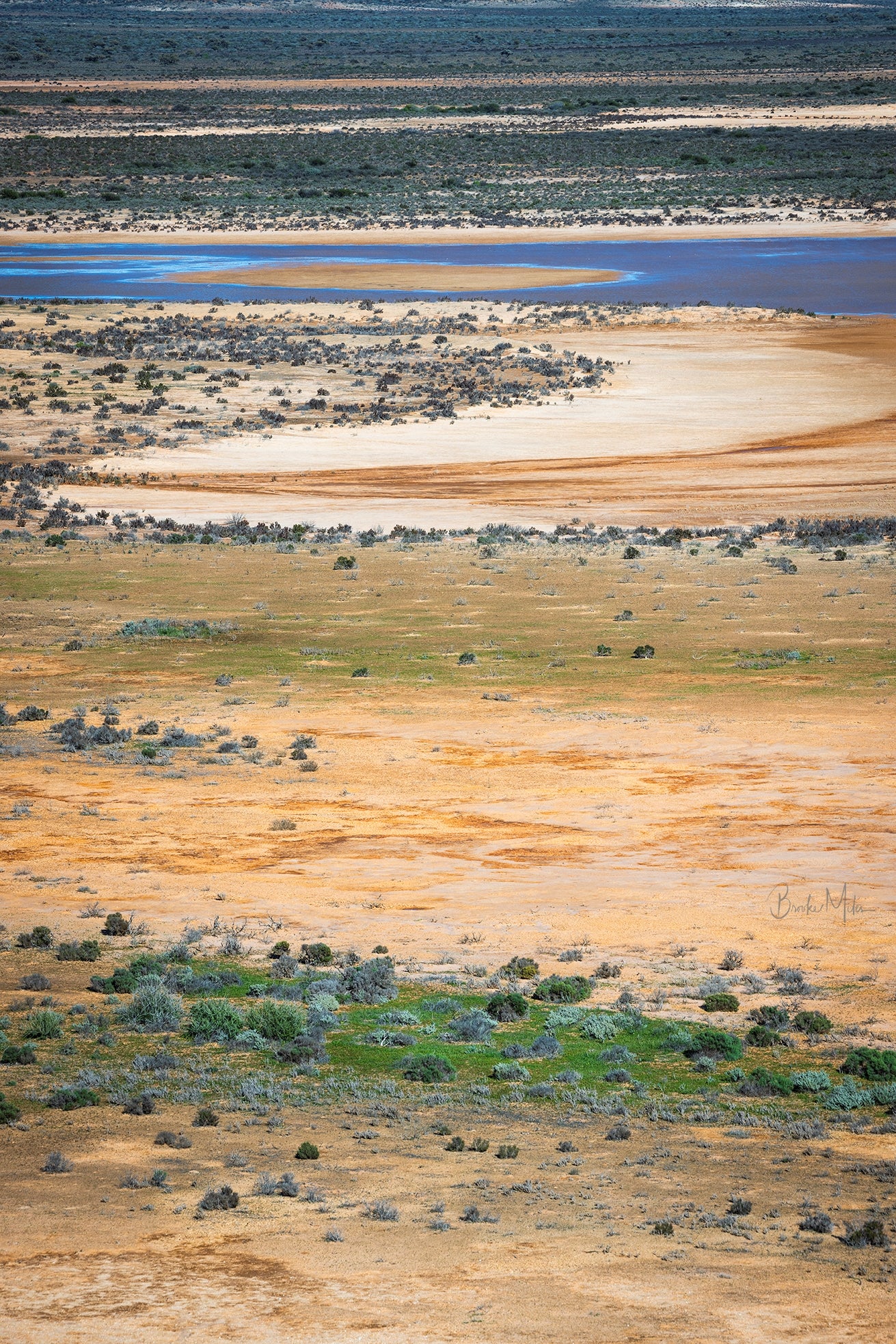 Earth Lines - Nature Coastal Print