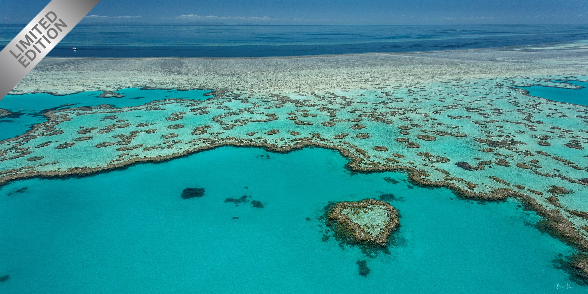 Blue Heart - Great Barrier Reef Print