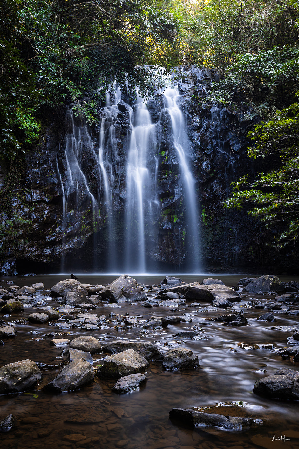 Whispers - Waterfall Rainforest Print
