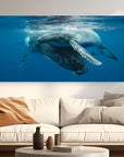 A Mothers Touch | Humpback Whale & Calf Wall Art – Ocean Photography Print