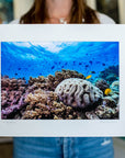 Photo Mount - 'The Aquarium'