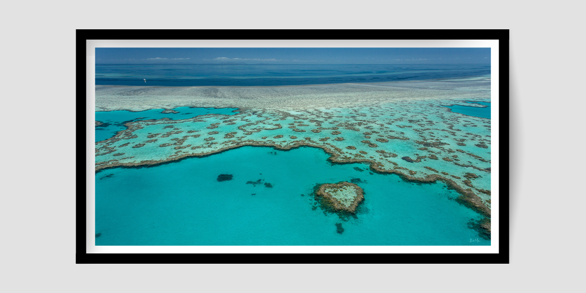 green coral reef from above with blue sky in the background with heart shaped reef island in foreground