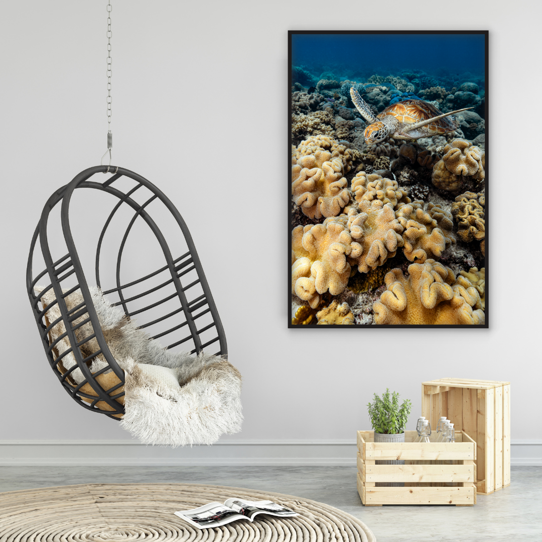 below the water with yellow and blue reef underneath a turtle swimming towards the camera