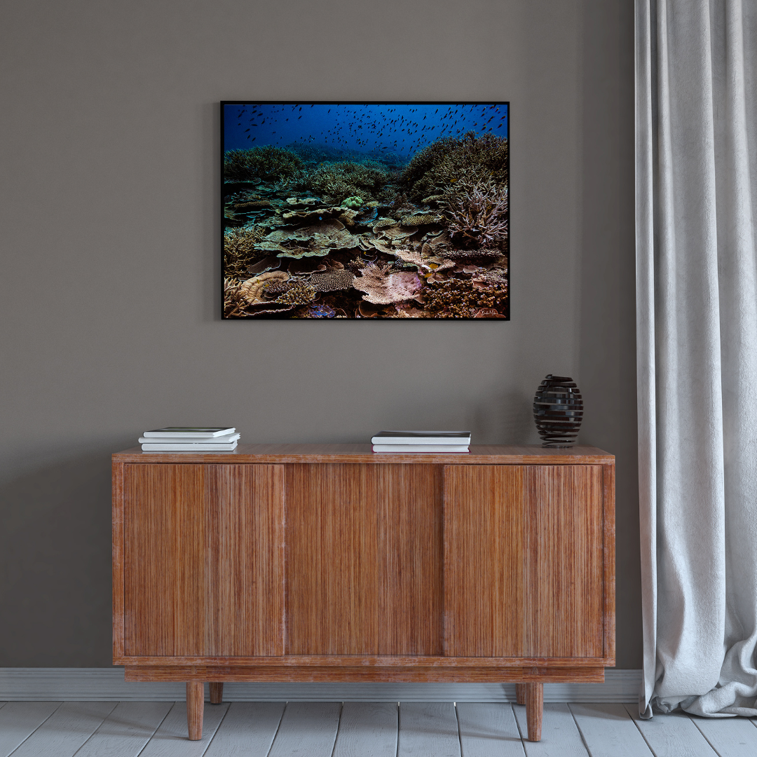 city of coral reef in many different colours and shapes dotted with hiding tiny blue and yellow fish