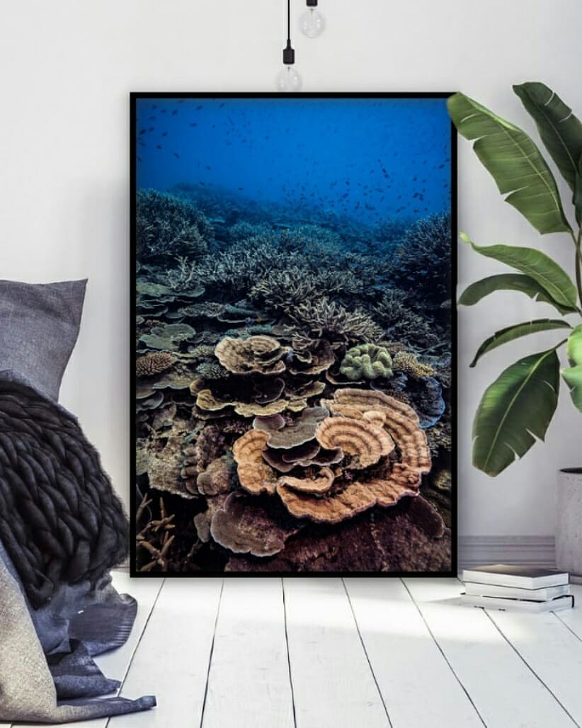 party of various coral reef formation of many different vibrant colours with small fish swimming above