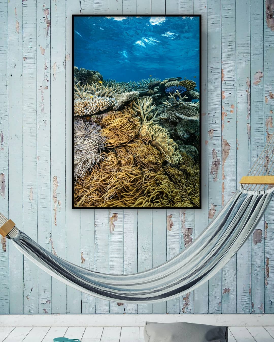 soft flowing coral moving with the current amongst smaller little yellow fish