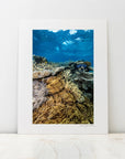 Photo Mount - 'Coral Forest'