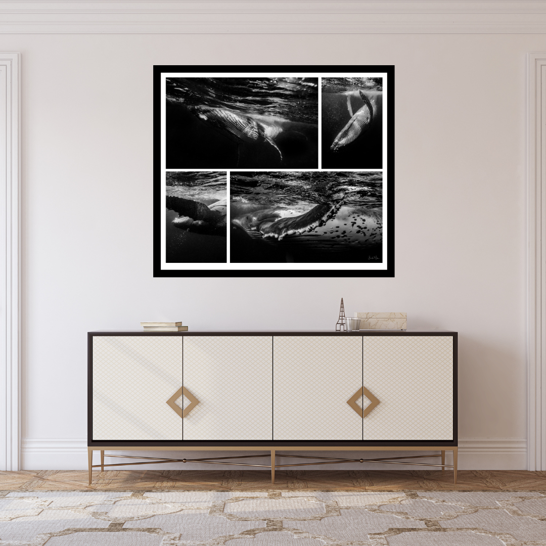 Crazy Whale Set - Humpback Whale Print