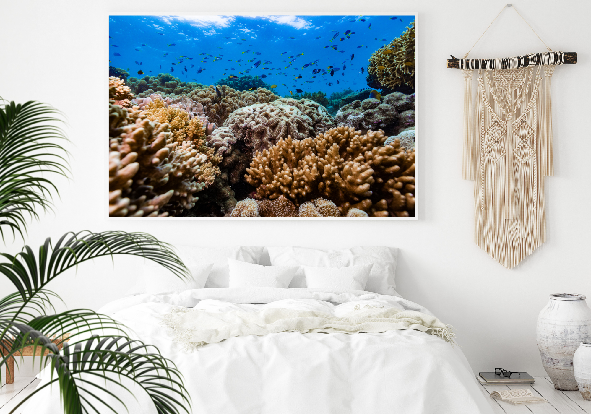 colourful garden of coral with various different fish swimming above