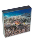 Acrylic Tile Turtle Print Crush Lumi Chillin