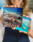Acrylic Tile Turtle Print Crush
